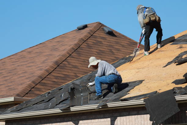 Best Roof Installation  in Little Falls, MN